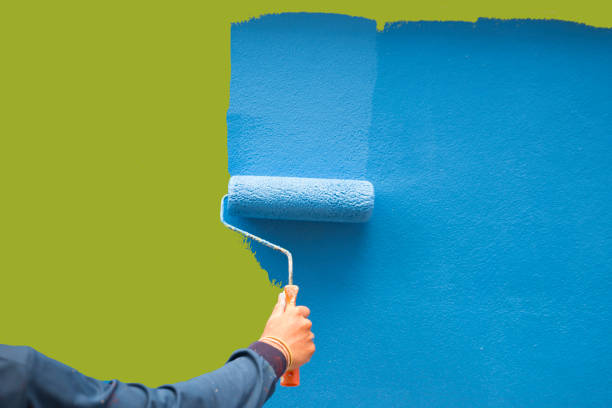 Trusted Brookshire, TX Mold Removal Experts